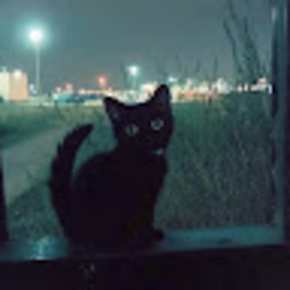 Meet your Posher, Hely - Picture 1 of 1